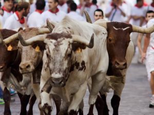 san_fermin__festas_populares_espanholas